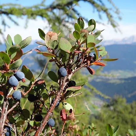Appartement Ausserraingut Flachau