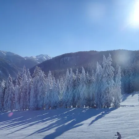 Apartamento Ausserraingut Flachau