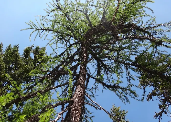 Lägenhet Ausserraingut