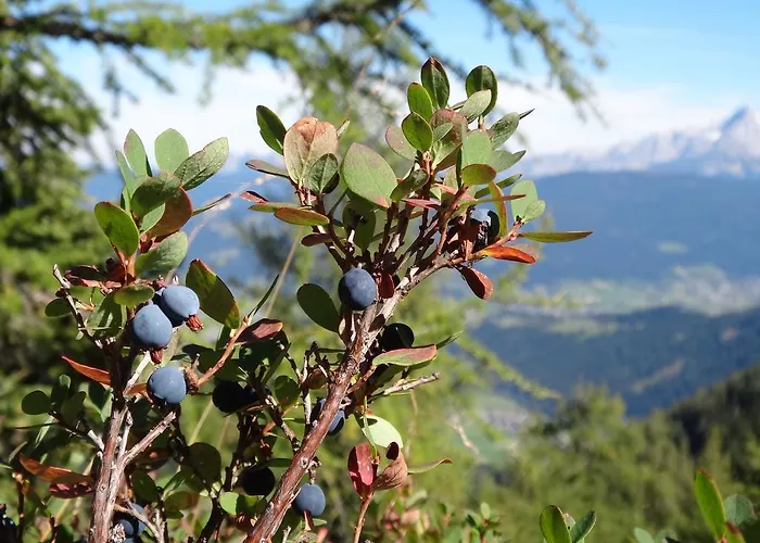 Lägenhet Ausserraingut Flachau