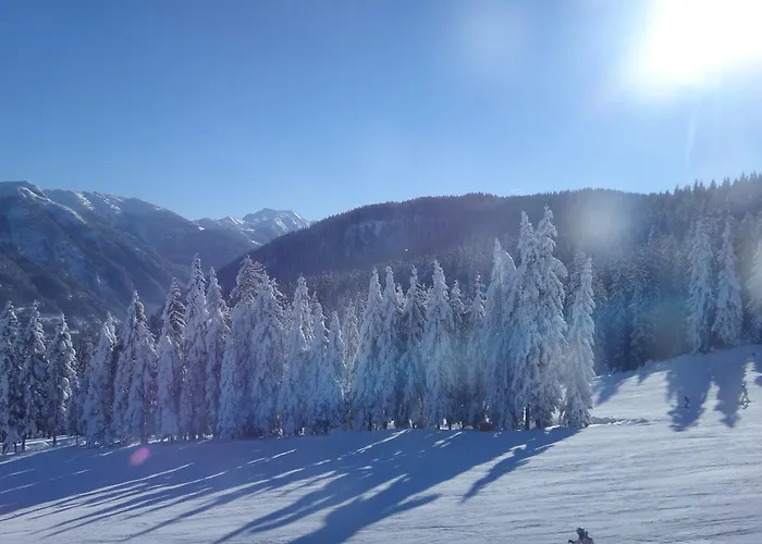 Lägenhet Ausserraingut Flachau
