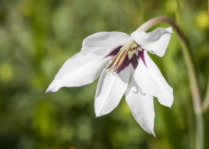 Ausserraingut * Flachau